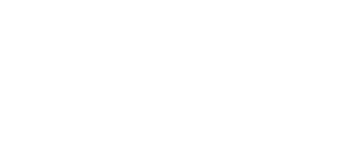 Fearless Dreamer